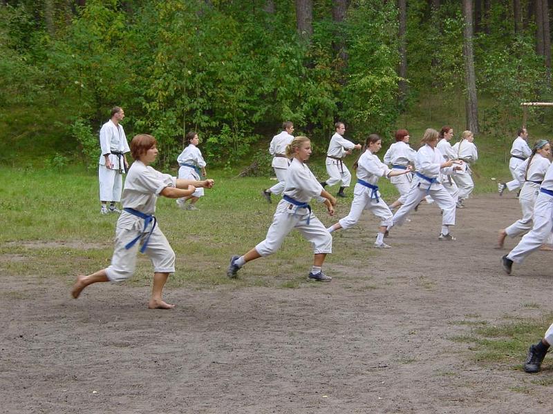 Heian Yodan 3.jpg